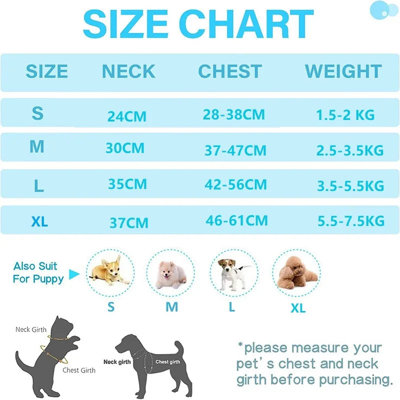 Katzengeschirr & Leine Set — Ausbruchsichere Weste mit Zelt | Verstellbar für Katzen & kleine Hunde