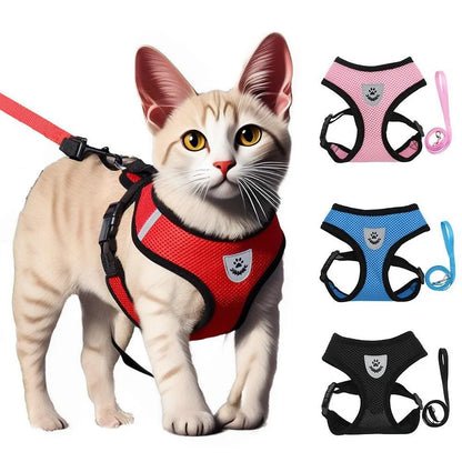 Katzengeschirr & Leine Set — Ausbruchsichere Weste mit Zelt | Verstellbar für Katzen & kleine Hunde